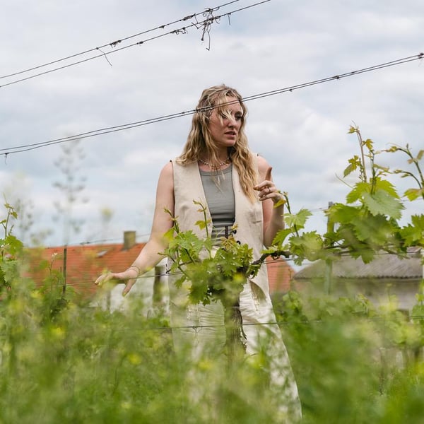 Katharina Gessl - Katharina Gessl