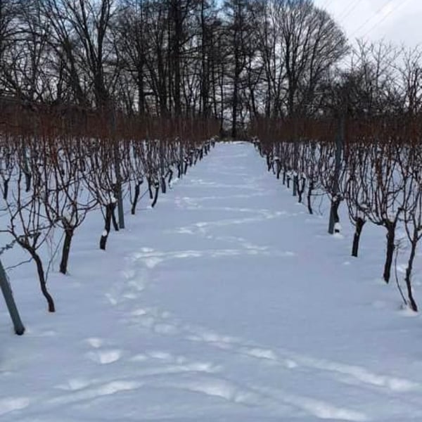 Nora-Kura Winery - 農楽蔵 - Ken & Kasubo Sasaki