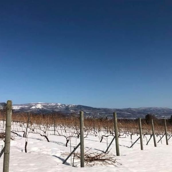 Nora-Kura Winery - 農楽蔵 - Ken & Kasubo Sasaki
