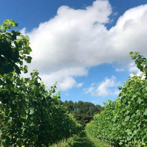 Nora-Kura Winery - 農楽蔵 - Ken & Kasubo Sasaki