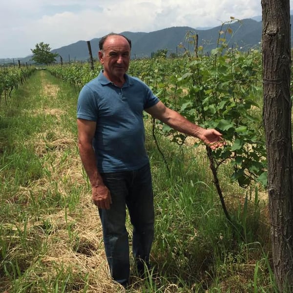 Naotari Wines - Koba Kvatchrelishvili
