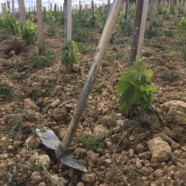 Domaine De L’Accent - Konrad Pixner