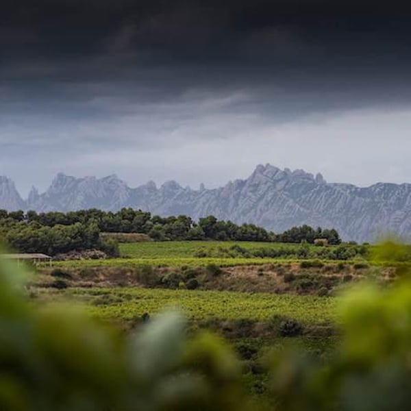 Celler Dumenge - Laia Esmel, Oriol Roig & Jaume Vilaseca.