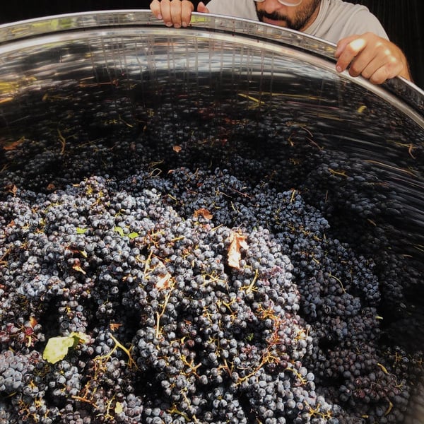 Sans Domaine - Lambert Perera Cortés