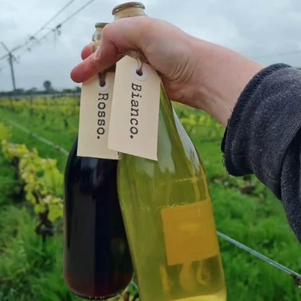 Cambridge Road Vineyard - Lance Redgwell