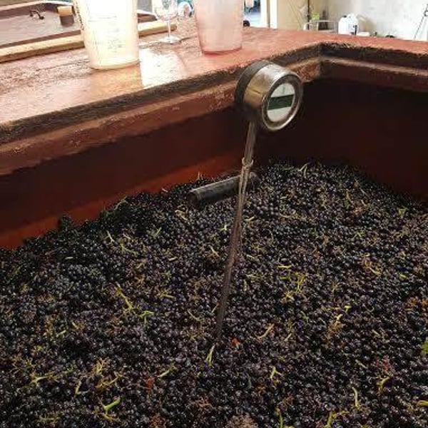 Domaine Laura Lardy - Laura Lardy