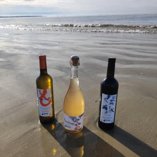 Domaine Du Pech Del Cel - Laure et Grégory Aurel