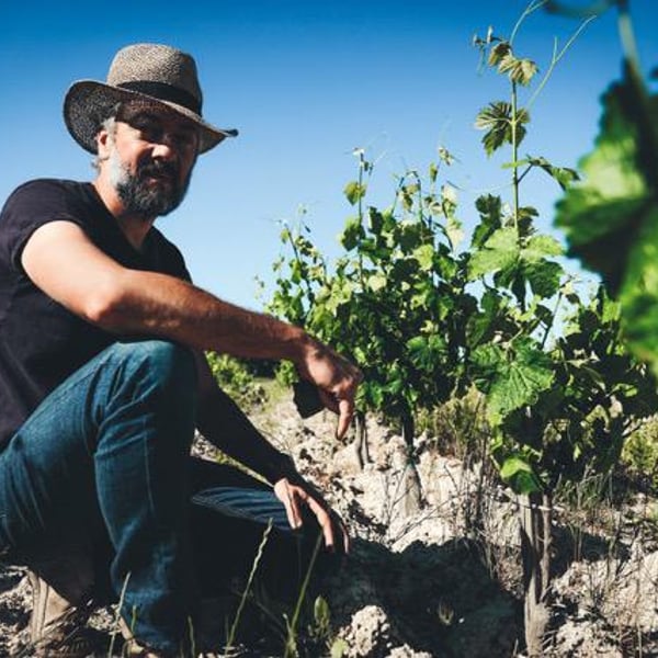 Domaine Du Pech Del Cel - Laure et Grégory Aurel