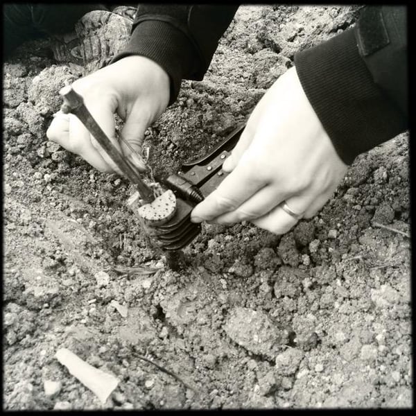 Domaine Du Pech Del Cel - Laure et Grégory Aurel