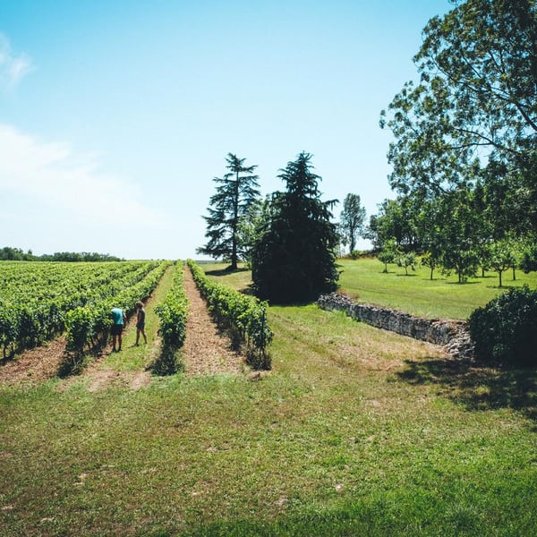 Domaine Gayrard - Laure & Pierre Fabre