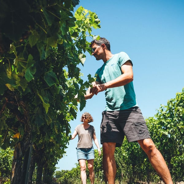 Domaine Gayrard - Laure & Pierre Fabre