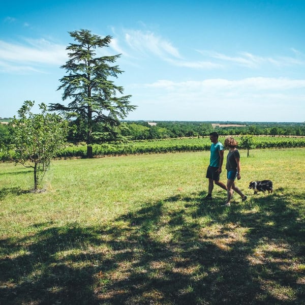Domaine Gayrard - Laure & Pierre Fabre