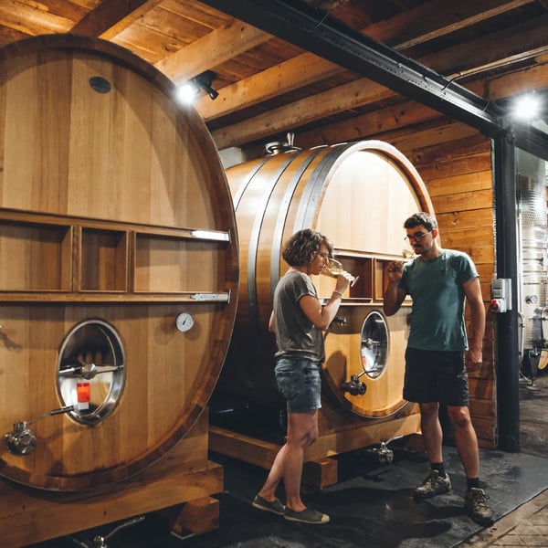 Domaine Gayrard - Laure & Pierre Fabre