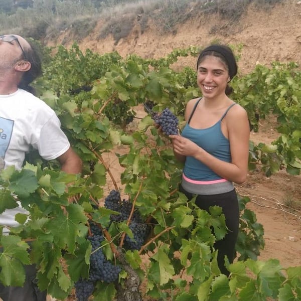 Mendall - Laureano Serres Montagut & Alicia Serres Brianzo