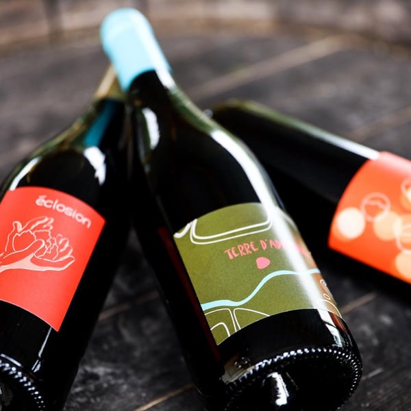 Laurent Herlin Vigneron - Laurent Herlin