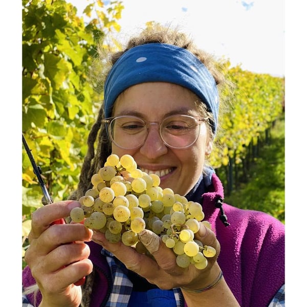 Lelle Ihr Wein - Lena-Maria Julier