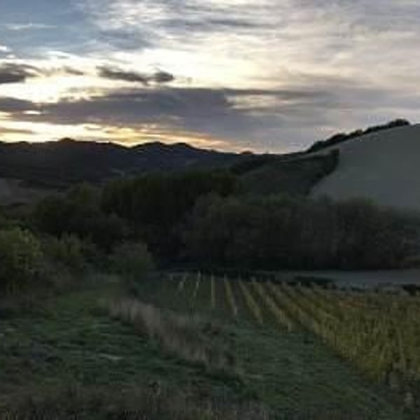 Tenuta Ca’ Sciampagne - Leonardo Cossi, Paola Grillo