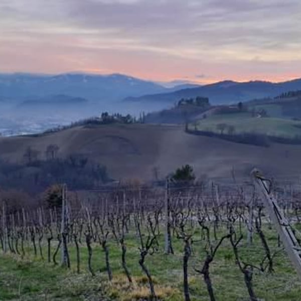 Tenuta Ca’ Sciampagne - Leonardo Cossi, Paola Grillo