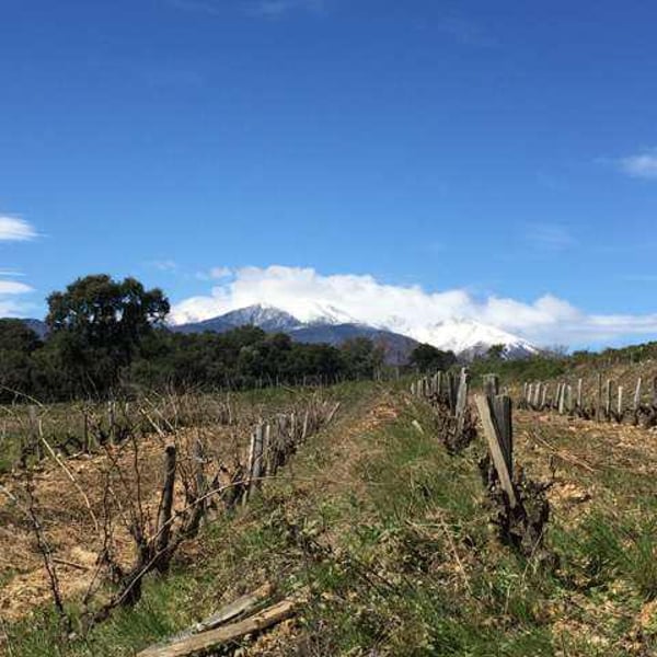 Domaine Jaça - Lize Corbin et Damien Roucayrol