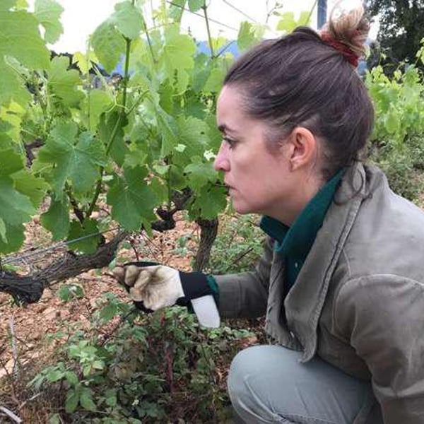 Domaine Jaça - Lize Corbin et Damien Roucayrol