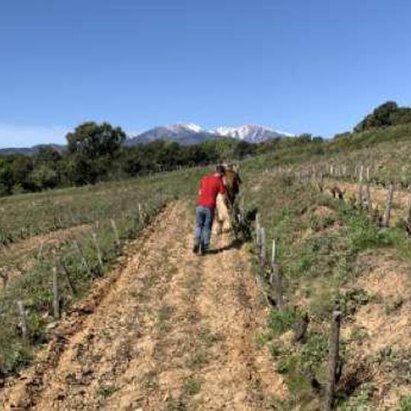 Domaine Jaça - Lize Corbin et Damien Roucayrol