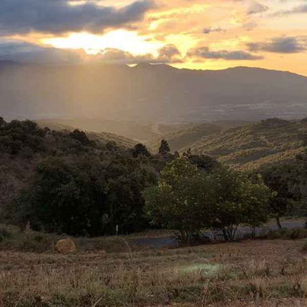 Domaine Jaça - Lize Corbin et Damien Roucayrol