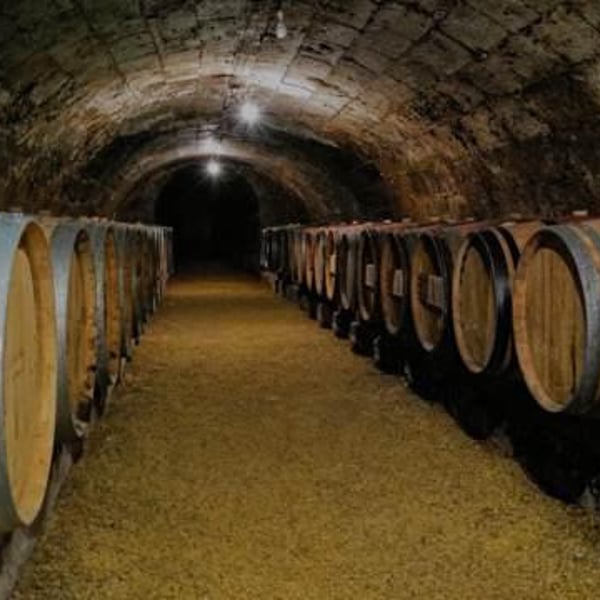 La Folie Lucé - Loïc Terquem