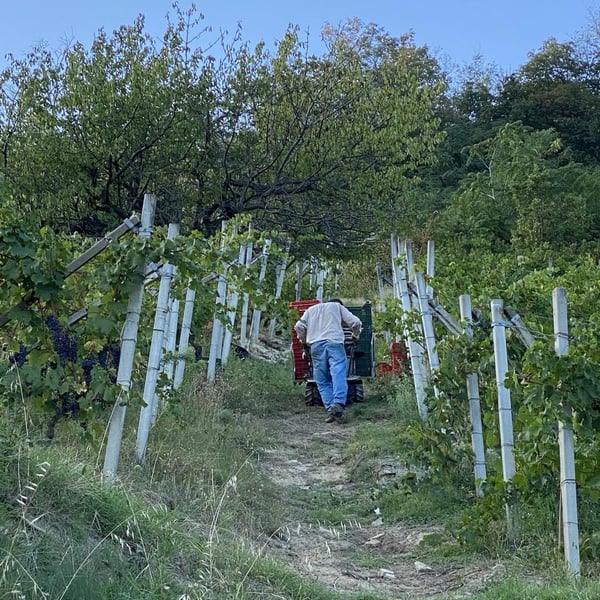 Case Corini - Luisa & Guido Corino