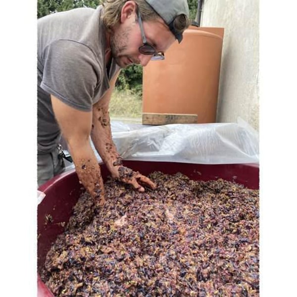 Tenuta Rustìca 1519 - Lorenzo Motta Fisauli & Margherita Micotti