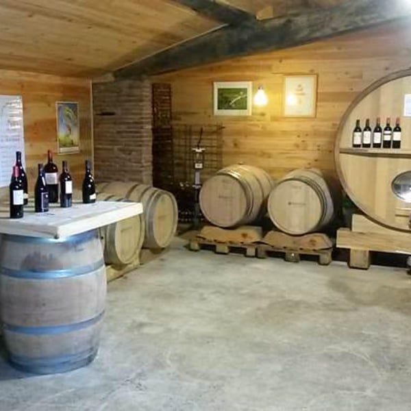 Domaine Plaisance - Penavayre - Louis, Marc et Thibaut Penavayre