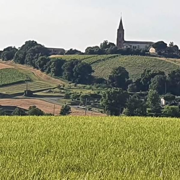 Domaine Plaisance - Penavayre - Louis, Marc et Thibaut Penavayre