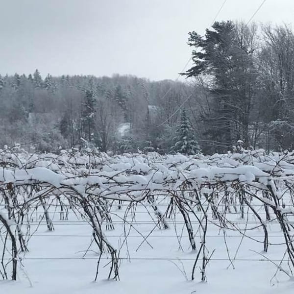 Domaine Oak Hill - Louise Macdonald & Sylvain Lalonde