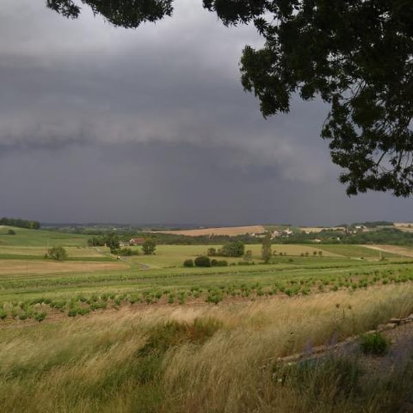 Clos Rocailleux - Luc Bontemps & Lucinda Terreyre