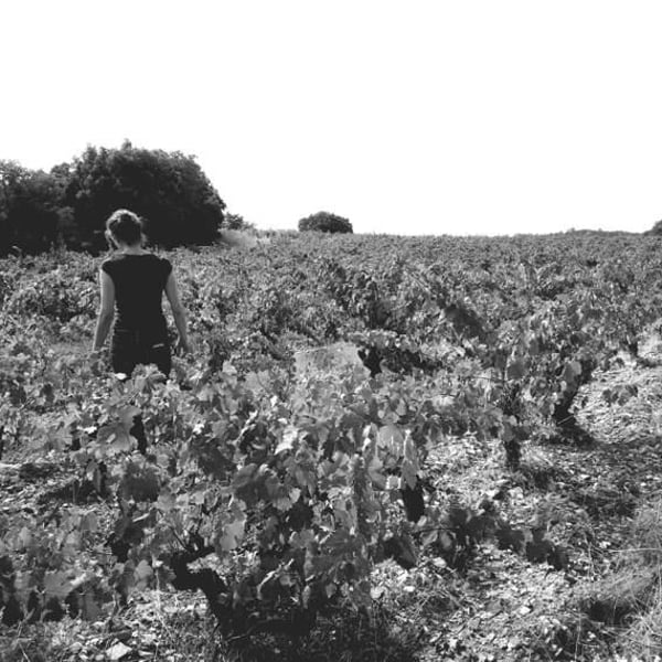 Zélige Caravent - Luc & Marie Michel