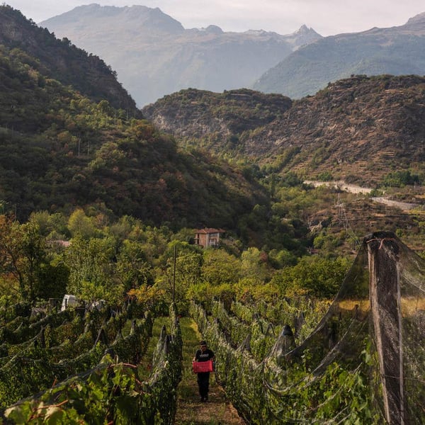 Azienda Agricola Granja Farm - Luca Barbich