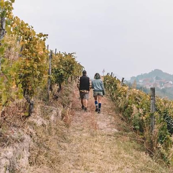 Azienda Agricola Valfaccenda - Luca Faccenda & Carolina Roggero
