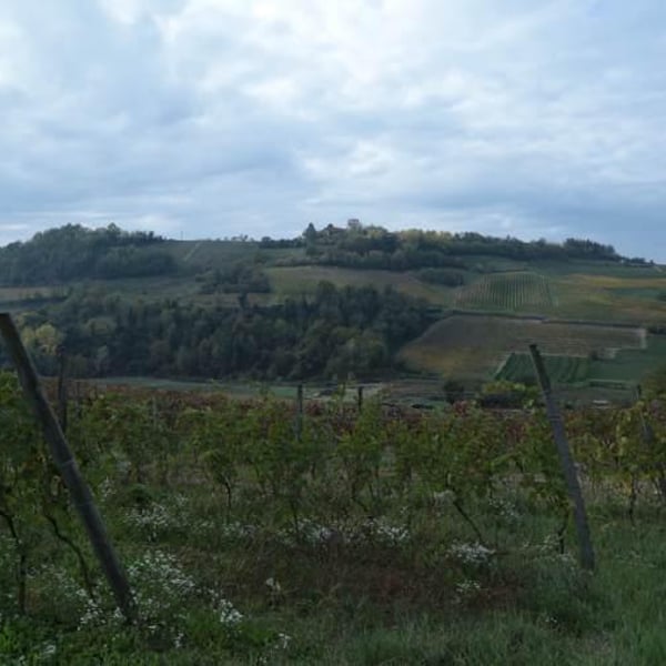 Cà del Prete - Luca Ferrero