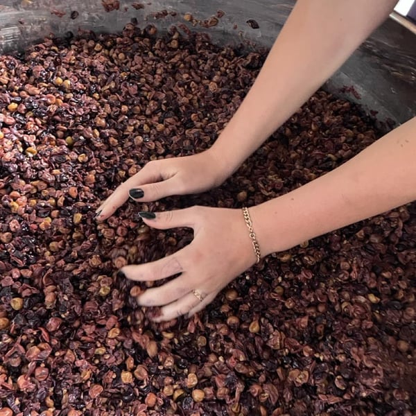 O Naturel Wines - Lucie & Brook Lawrence