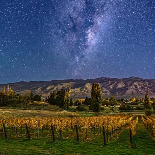 O Naturel Wines - Lucie & Brook Lawrence