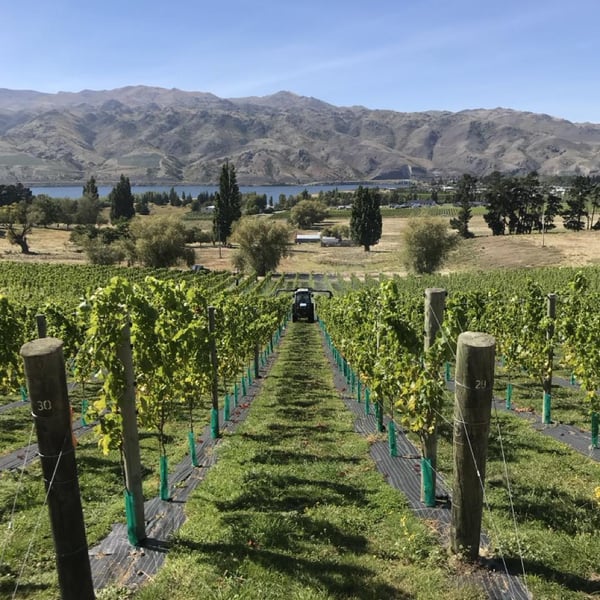 O Naturel Wines - Lucie & Brook Lawrence