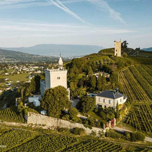Domaine Ludovic Archer - Ludovic Archer