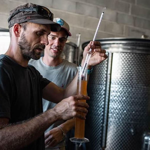 Domaine Ludovic Archer - Ludovic Archer
