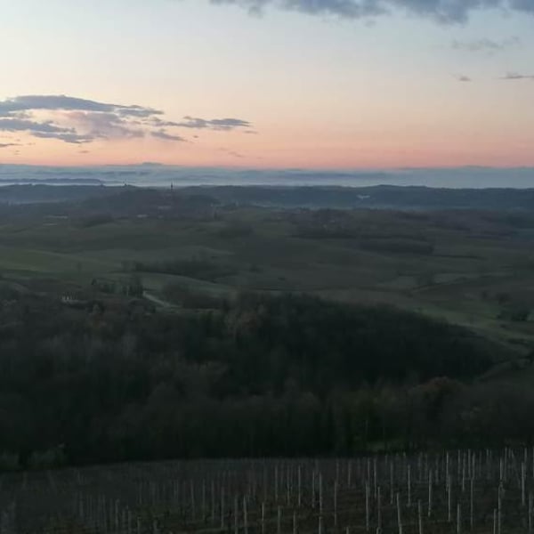 Azienda Agricola Crealto - Luigi & Eleonora Costa