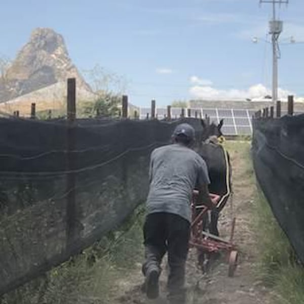 Tierra De Peña - Luis Fernando Aburto