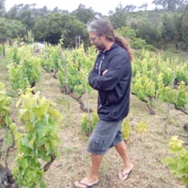 Marinho Vinhos - Luís Gil