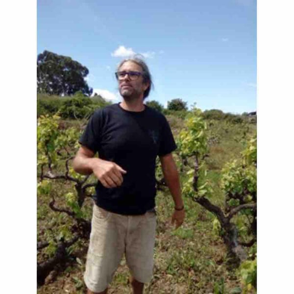 Marinho Vinhos - Luís Gil