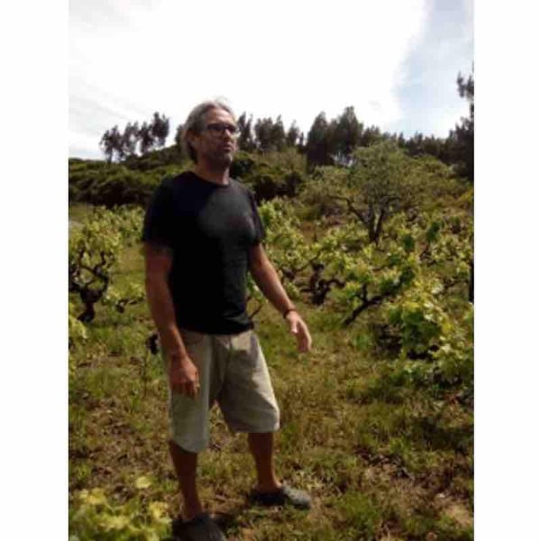 Marinho Vinhos - Luís Gil