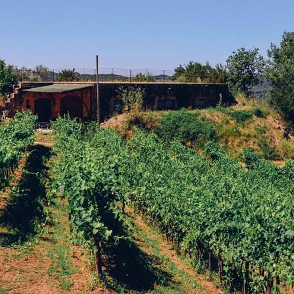 Podere Sante Marie - Luisa & Marino Colleoni
