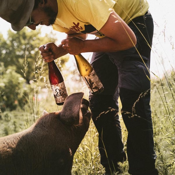 Weingut Krauss - Lukas Krauss