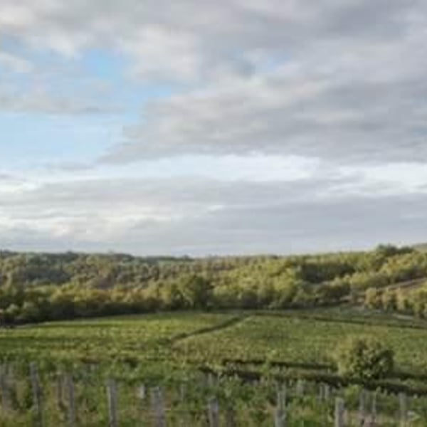 Domaine de Laroque d’Antan - Lydia, Claude & Emmanuel Bourguignon
